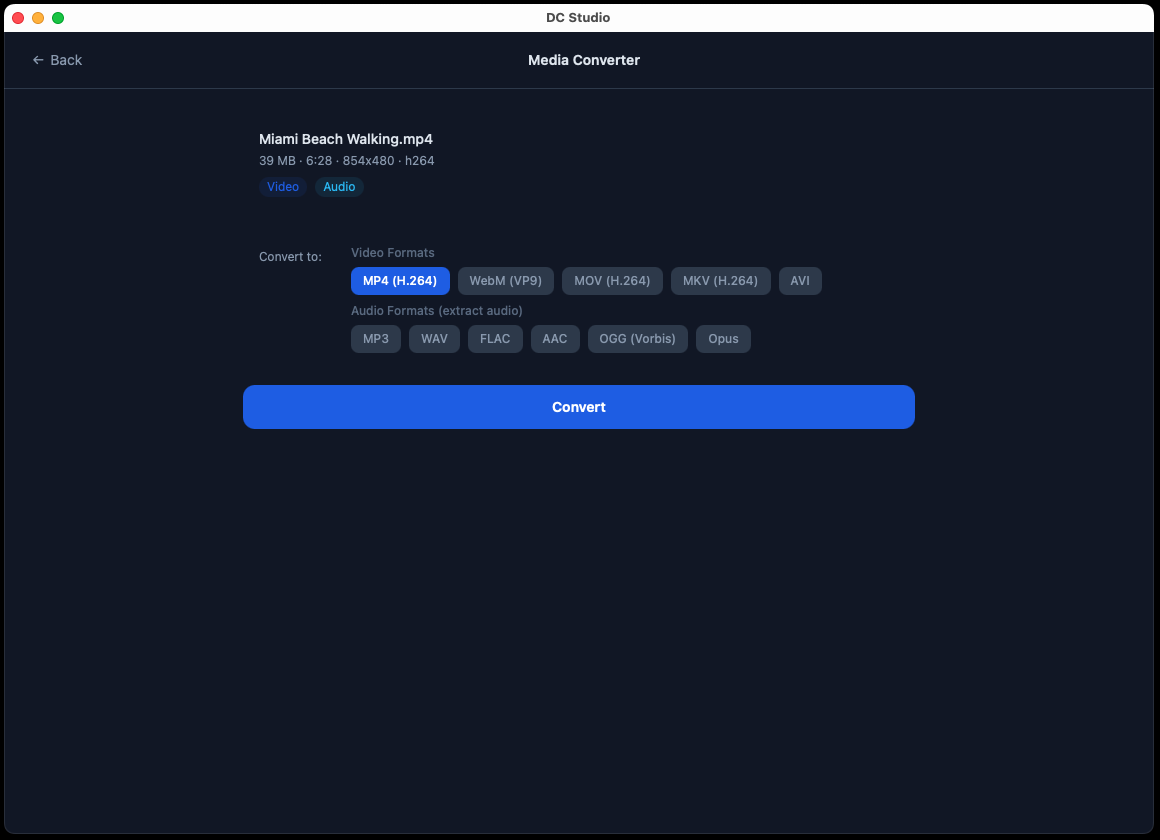 Media Converter supporting video, audio, and image format conversion with batch processing