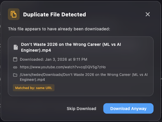 Duplicate file detection shows existing file details before downloading again