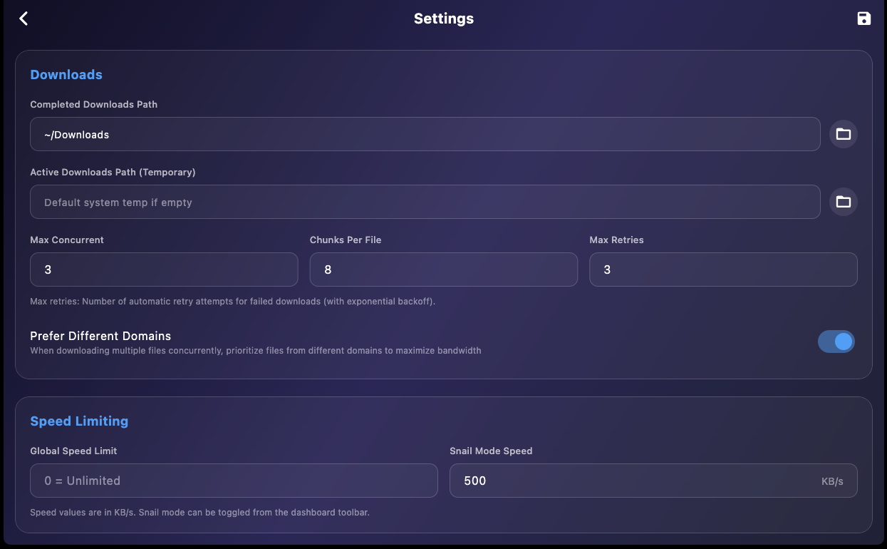 Download settings including concurrent downloads, chunks, and speed limiting